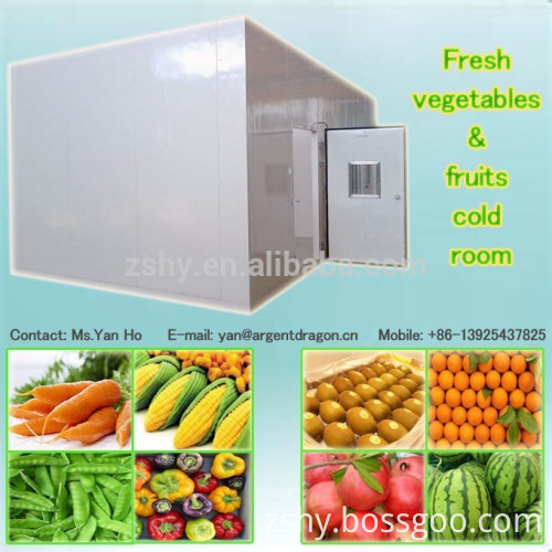 Fresh vegetables & fruits cold room